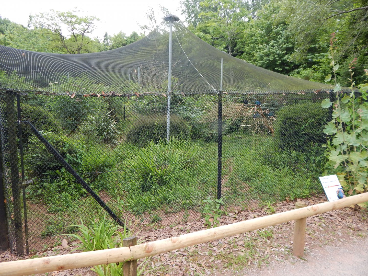 Mixed exhibit 130624