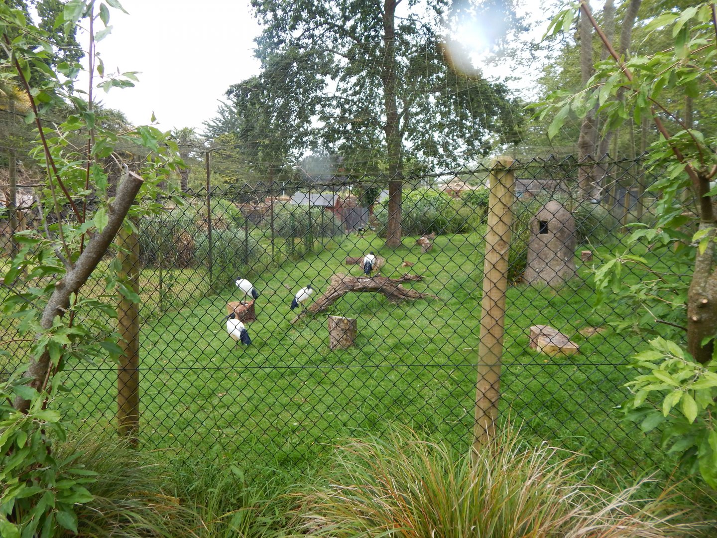 Mixed exhibit 130624