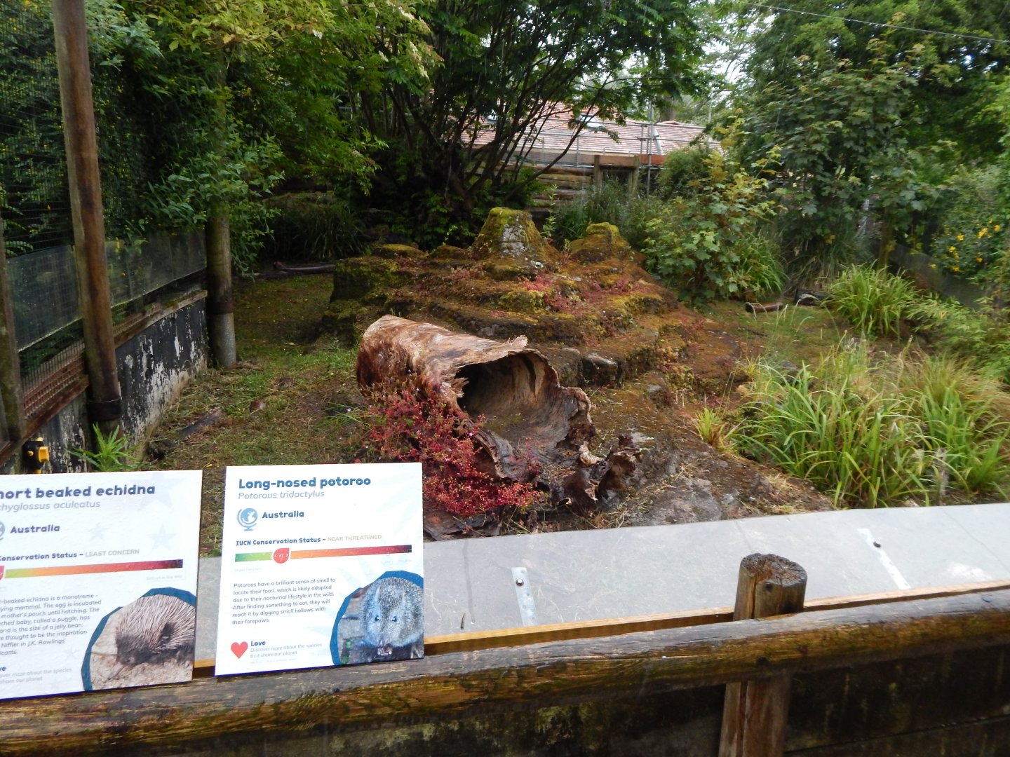 Mixed exhibit 130624