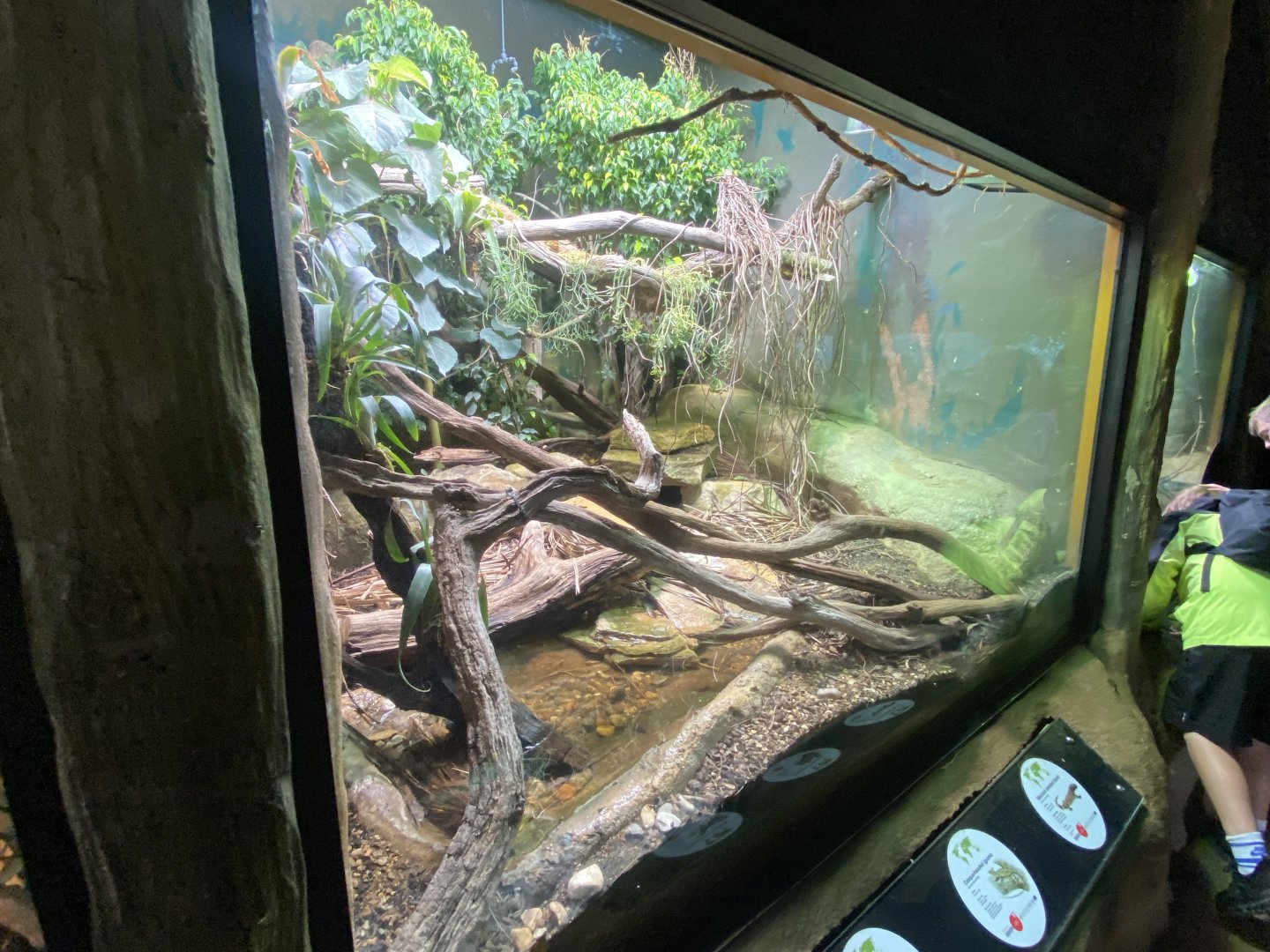 Mixed exhibit 150725