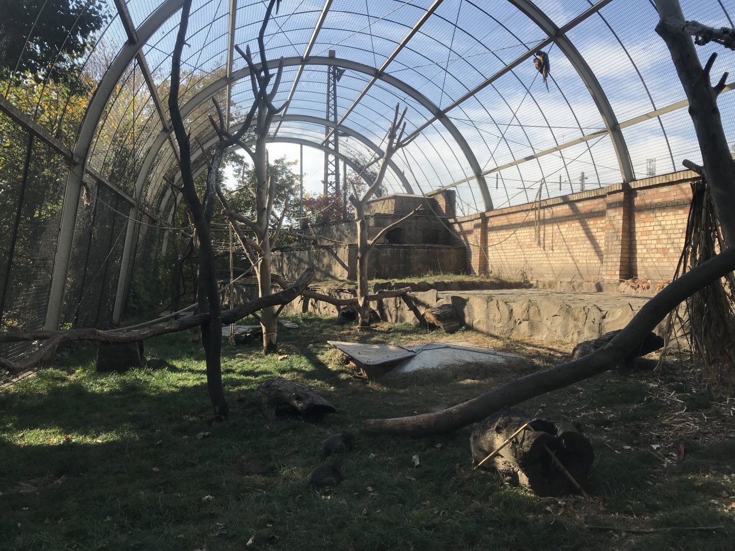 Mixed exhibit 171018