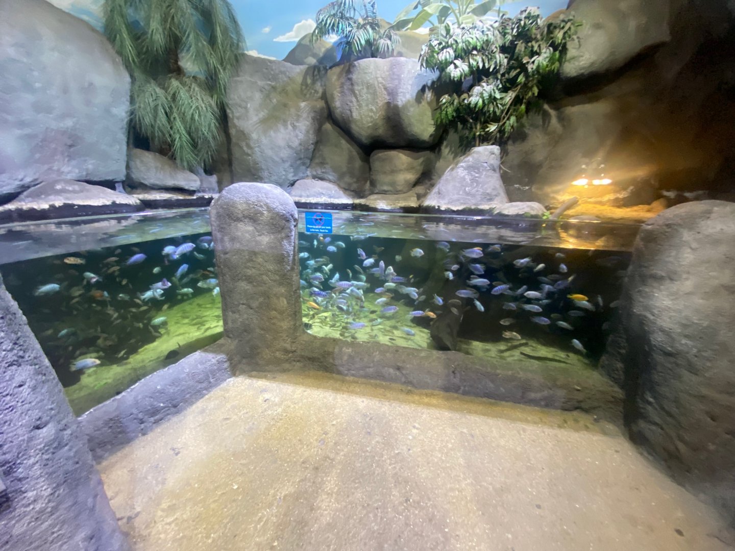 Mixed exhibit 251123