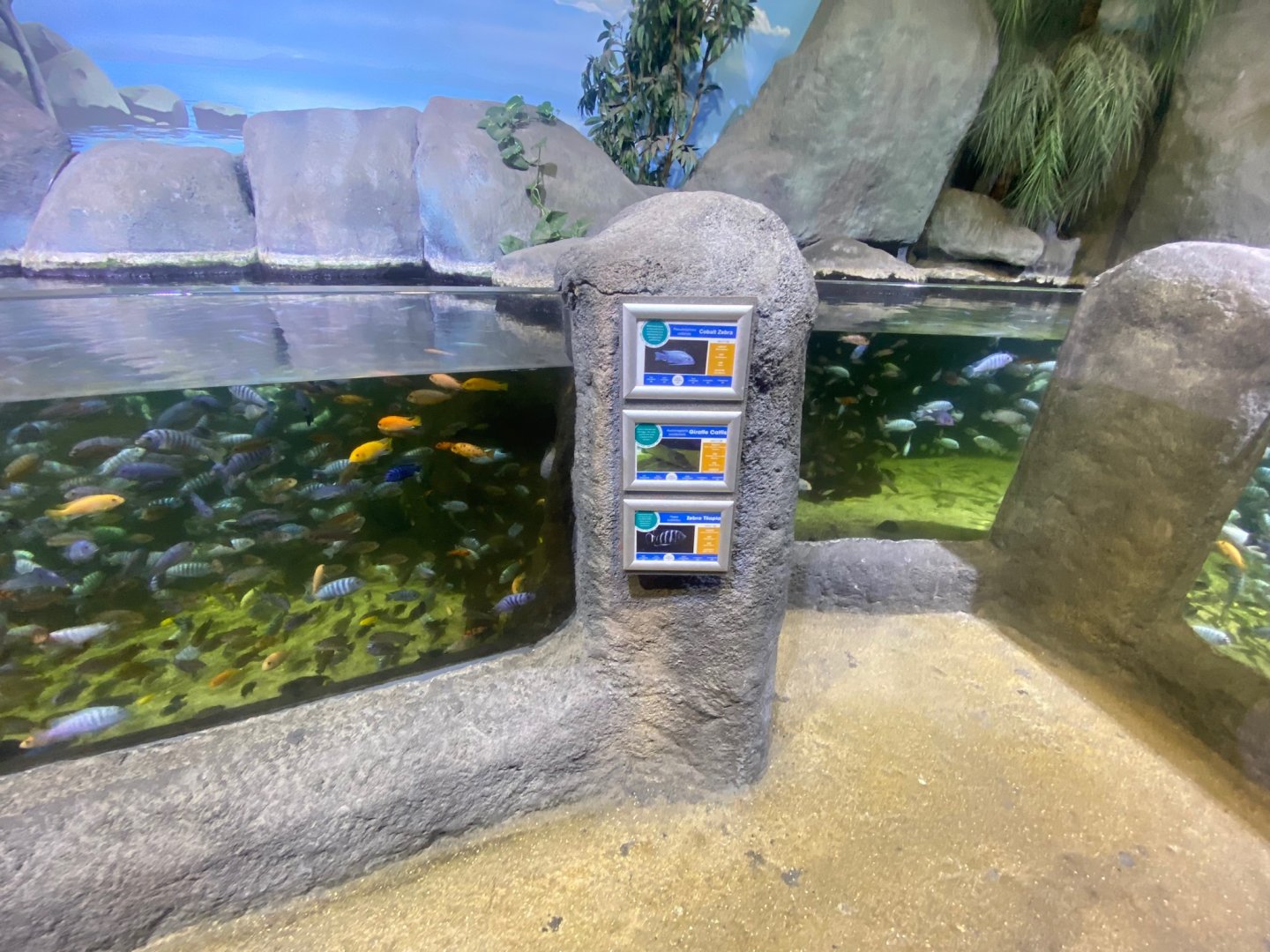 Mixed exhibit 251123