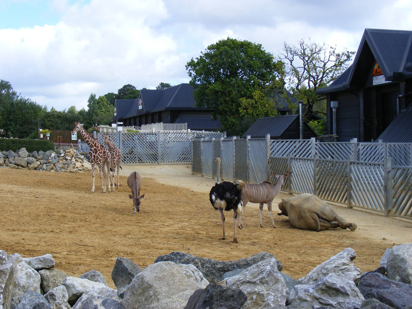 Mixed exhibit at Colchester Zoo, 17 September 2010