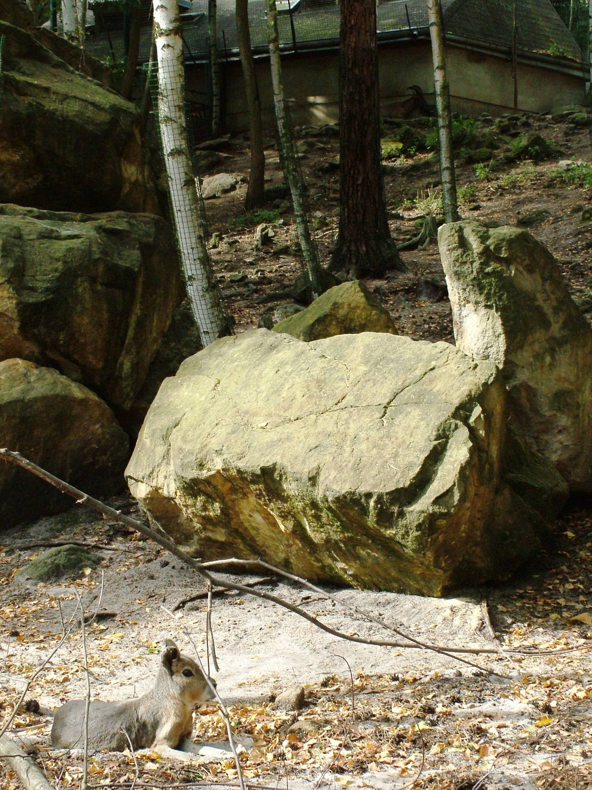 Mixed Exhibit at Decin, 28/08/12