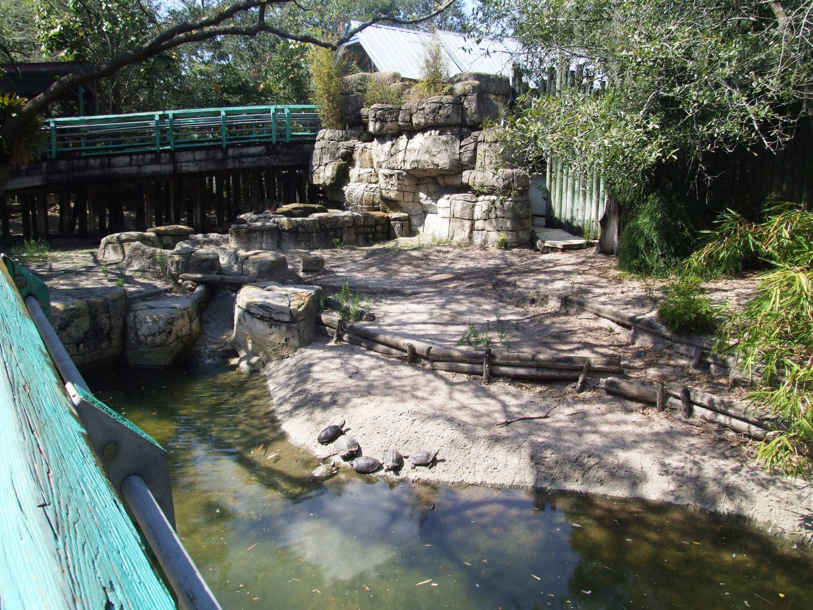 Mixed Exhibit at Lowry Park, 13/10/13