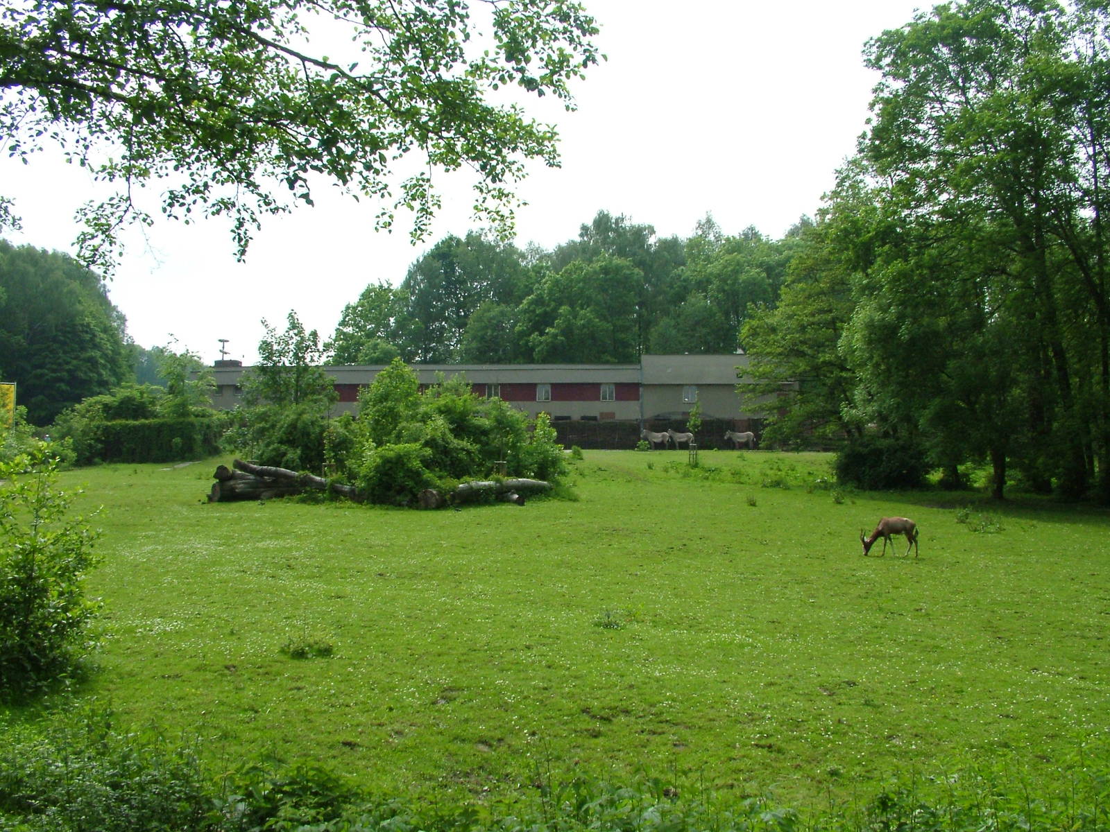 Mixed exhibit at Ostrava, 29/05/10