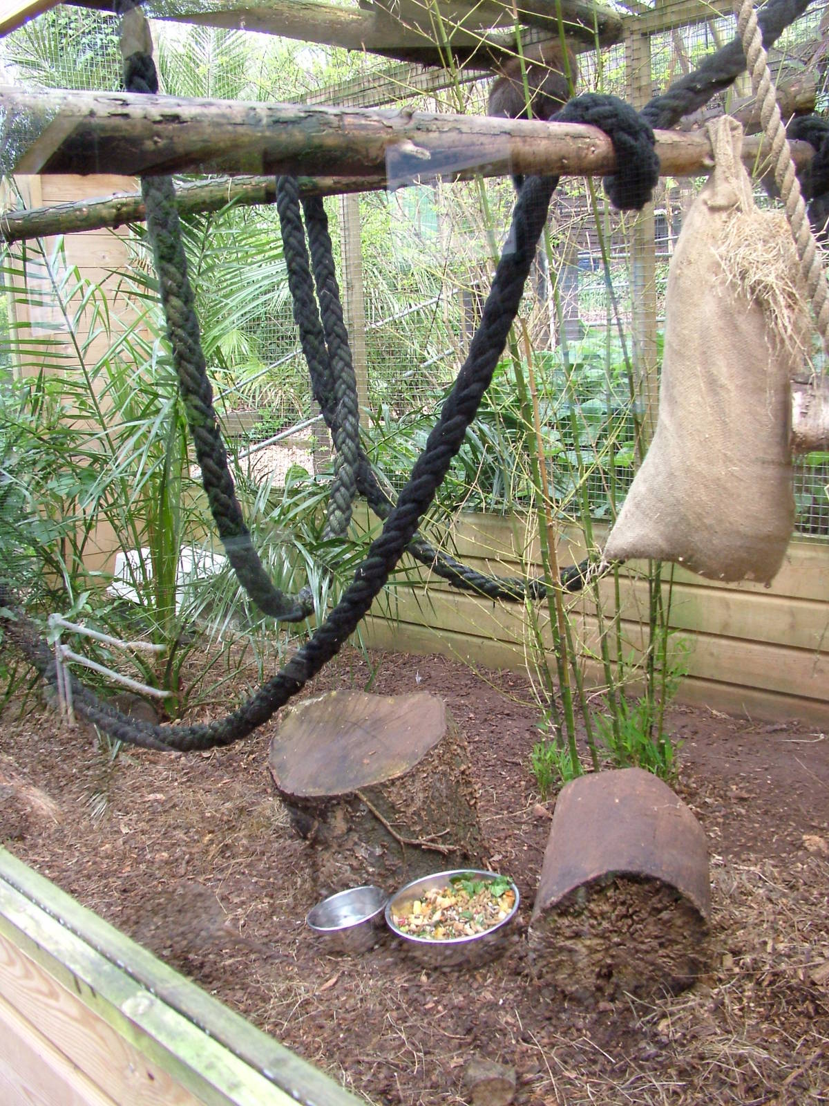 Mixed exhibit at Shaldon 10/04/09