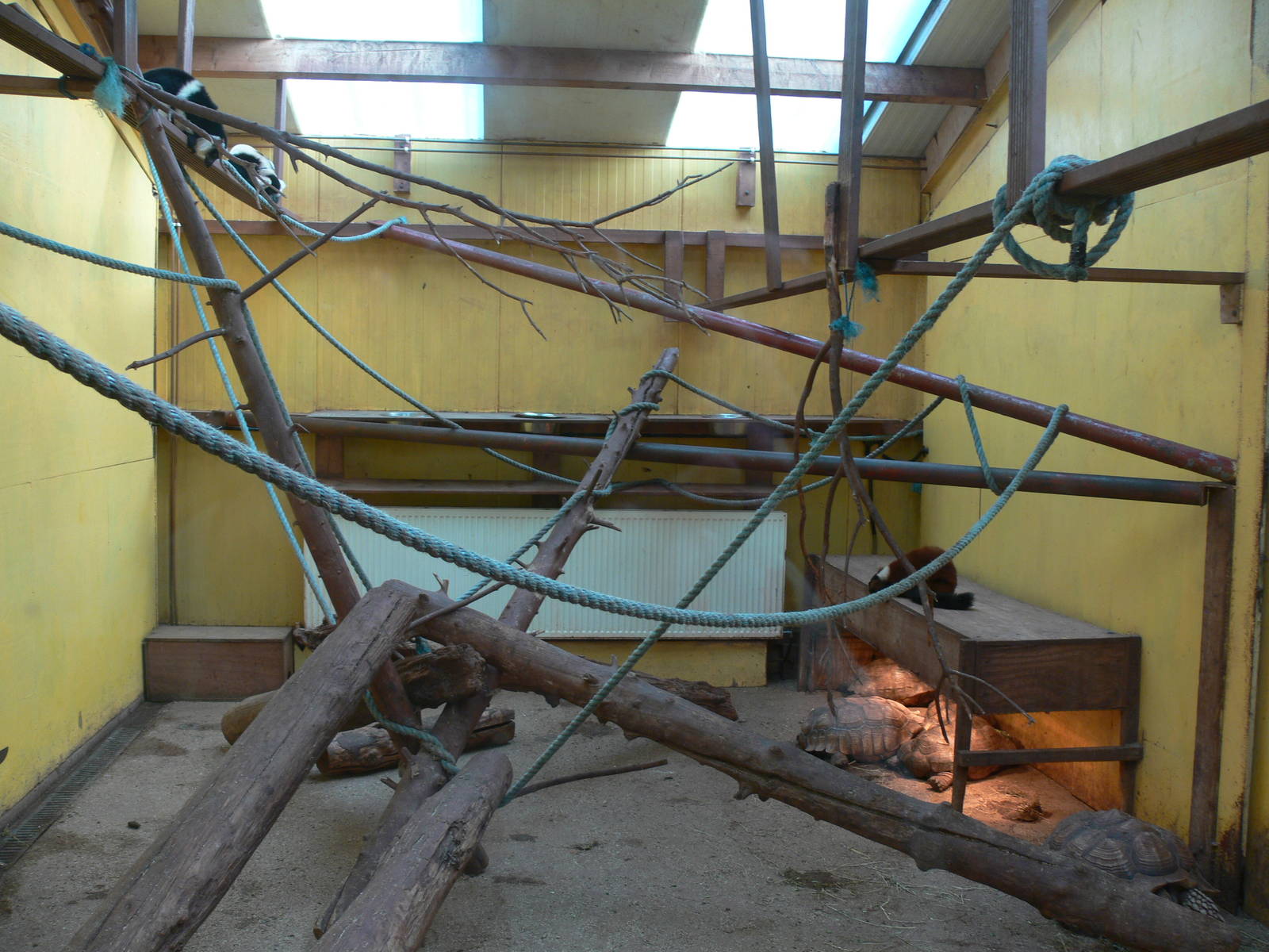 Mixed exhibit at South Lakes, 16/02/14