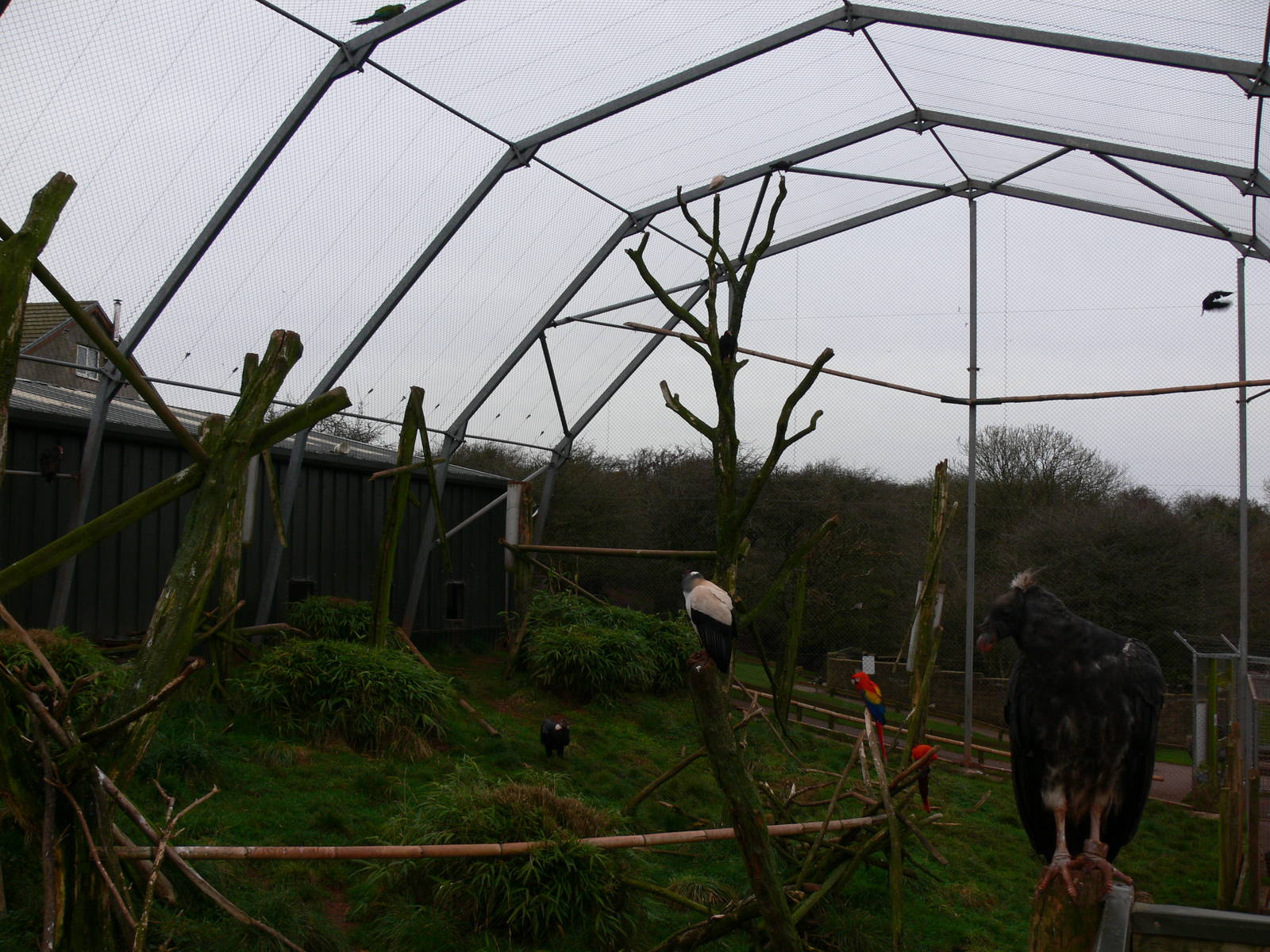 Mixed exhibit at South Lakes WAP 24/11/12