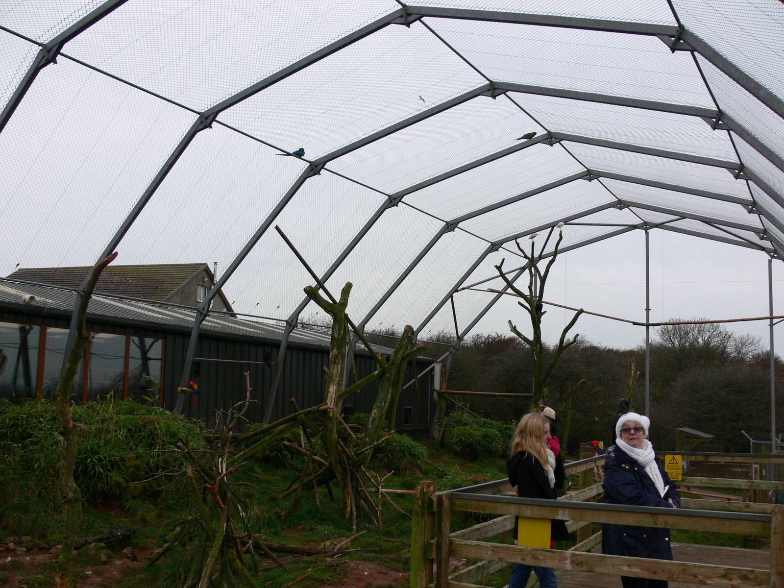 Mixed exhibit at South Lakes WAP 24/11/12