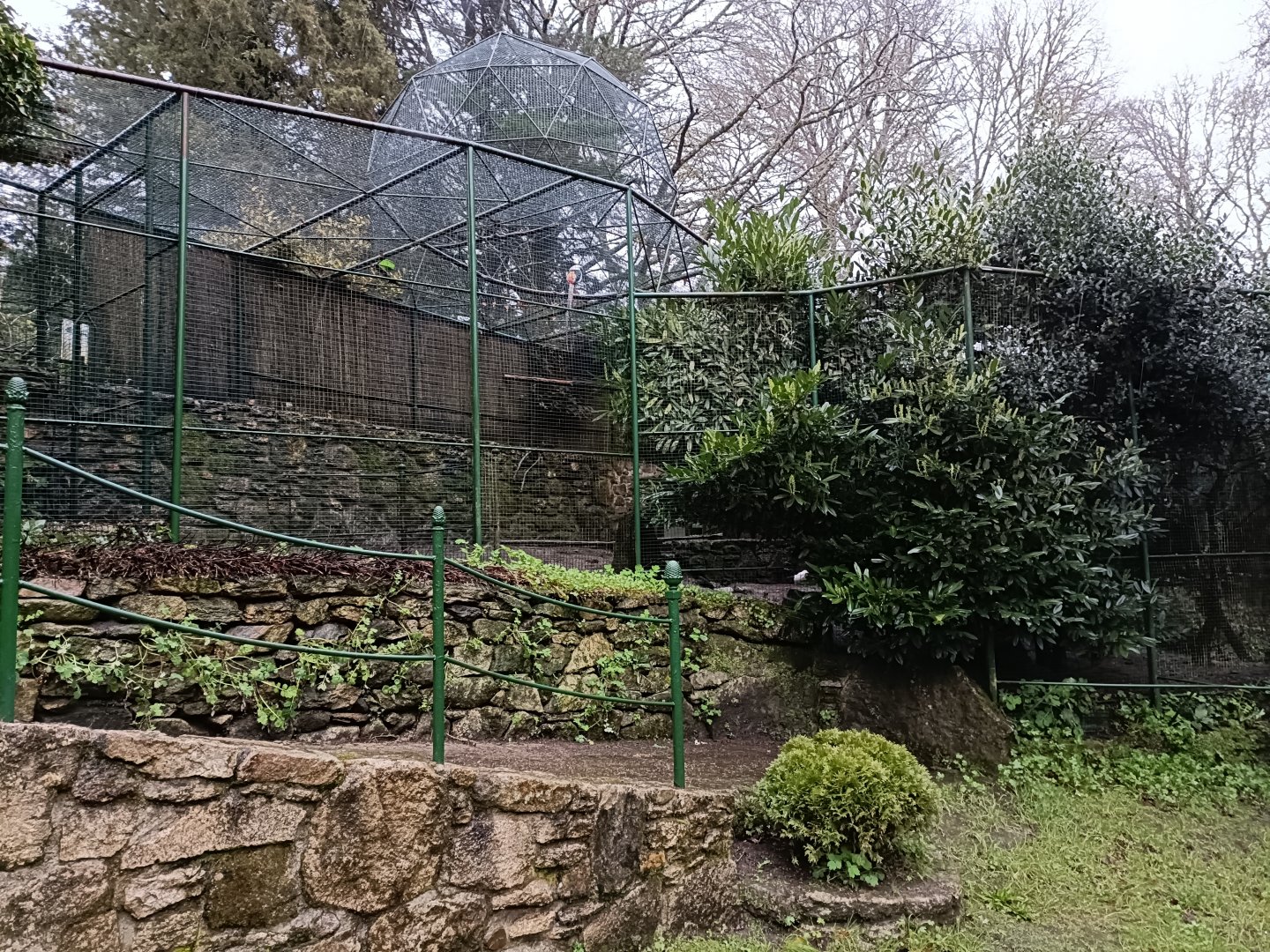 Mixed exhibit - Avifauna Lugo