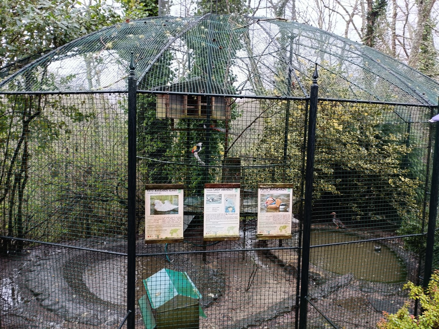 Mixed exhibit - Avifauna Lugo