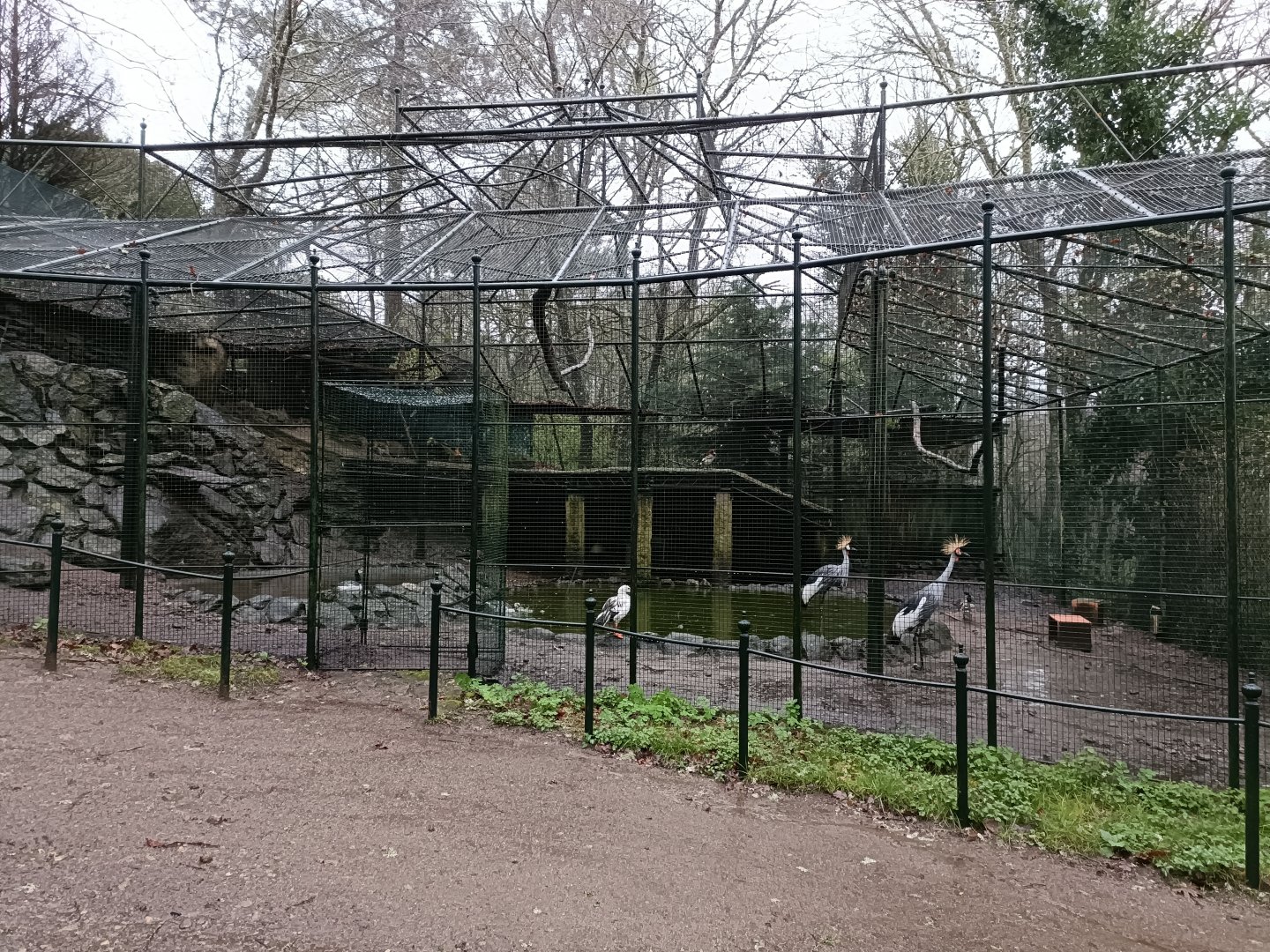Mixed exhibit - Avifauna Lugo