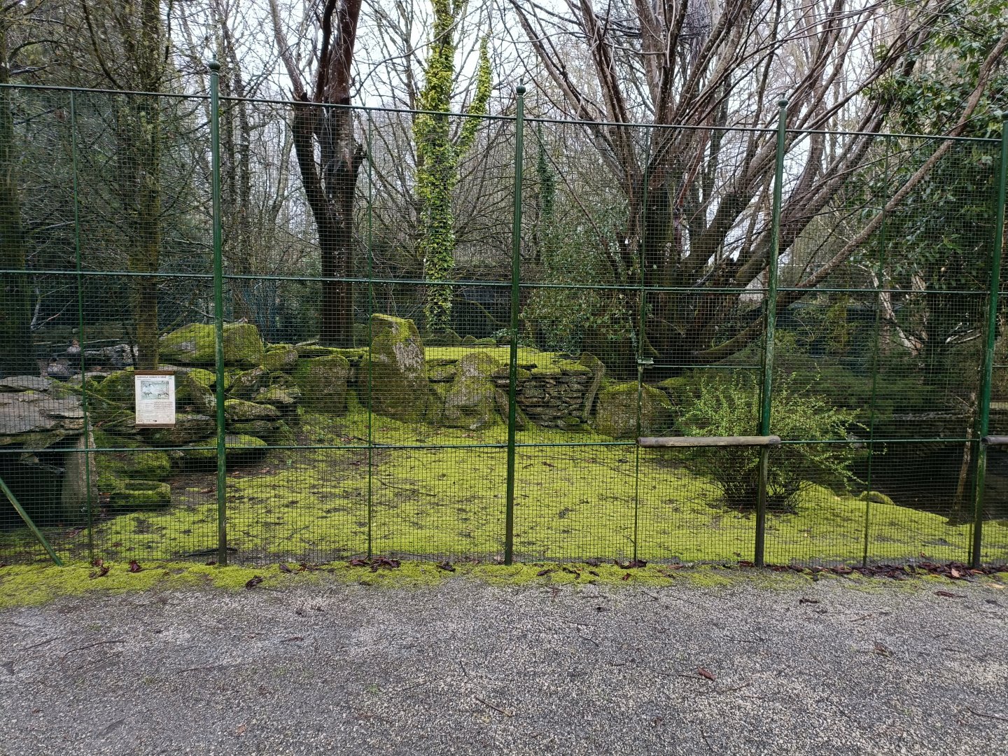 Mixed exhibit - Avifauna Lugo