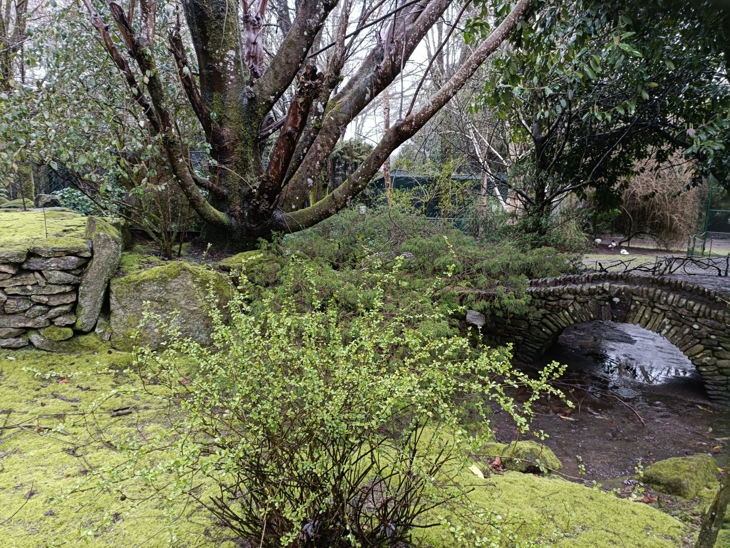 Mixed exhibit - Avifauna Lugo