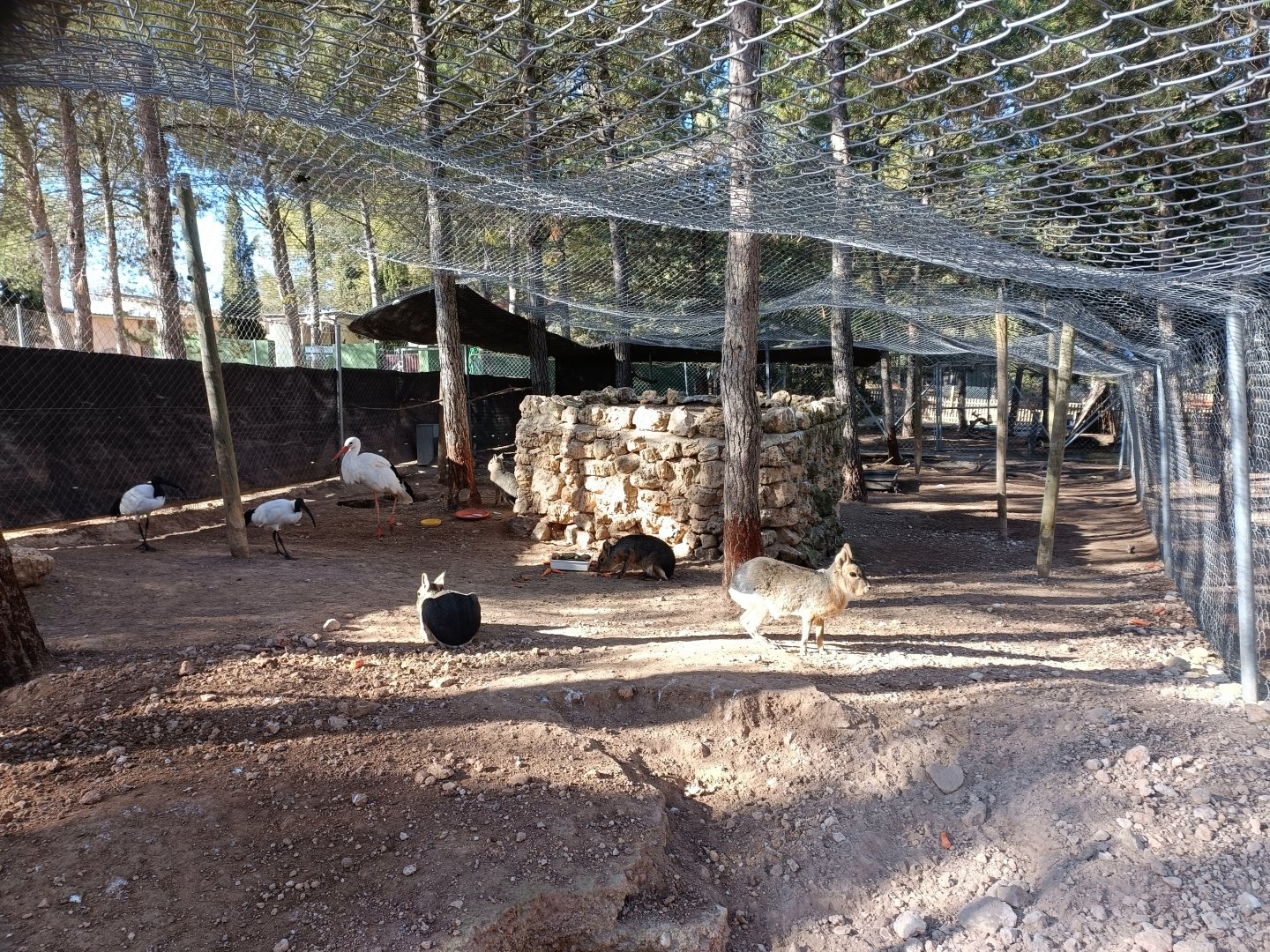 Mixed exhibit - Bioparque La Rocha