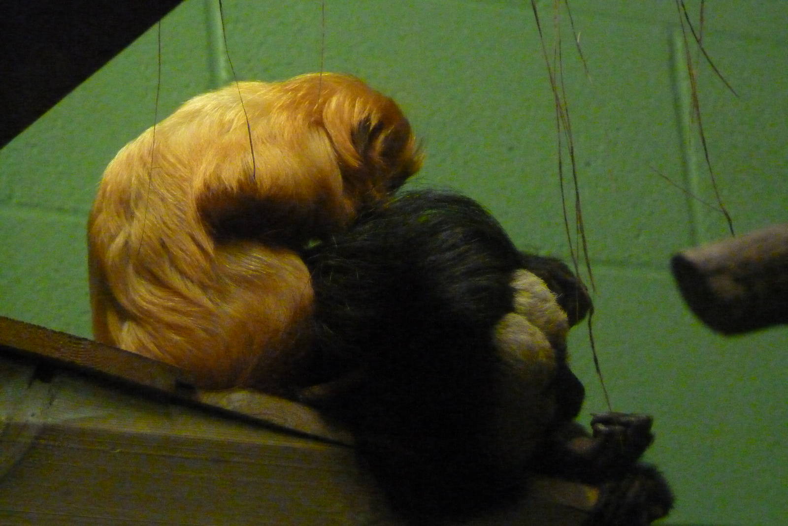 Mixed exhibit, December 2015