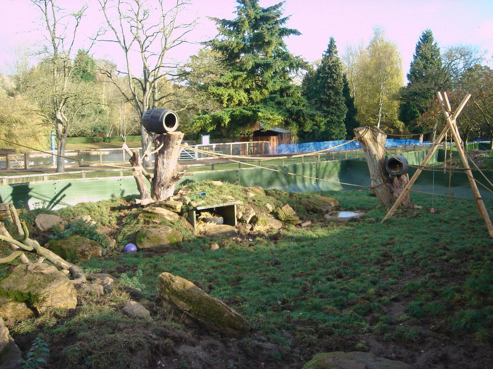 Mixed exhibit for Coatis and Raccoons