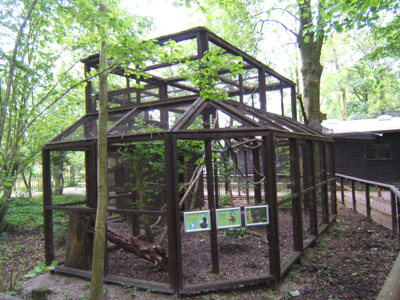 Mixed exhibit for Curassow and Marmosets