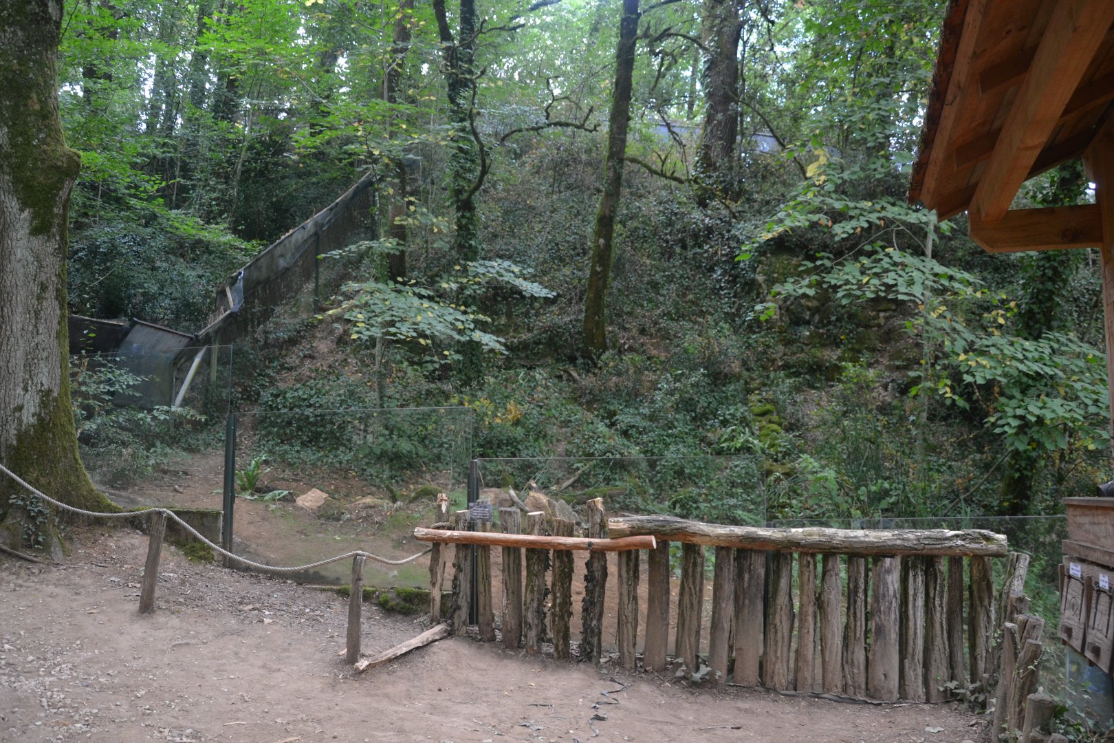 Mixed exhibit for European pond turtle and European Mink