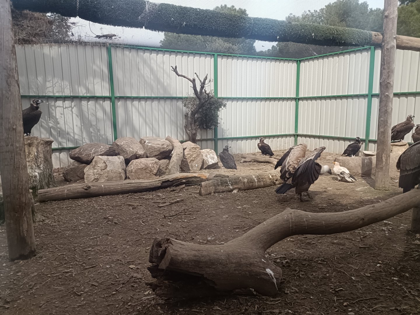 Mixed exhibit - GREFA