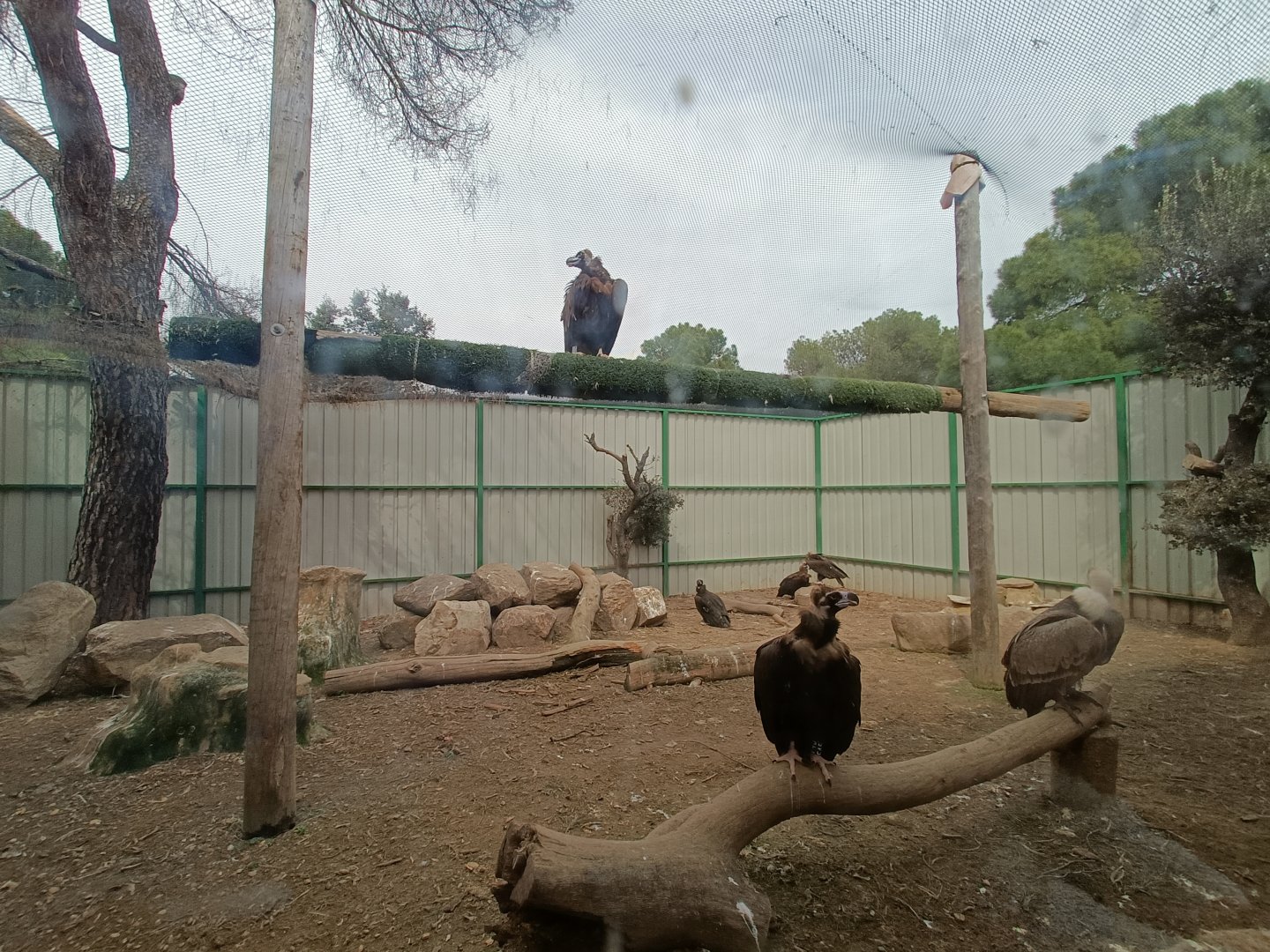 Mixed exhibit - GREFA