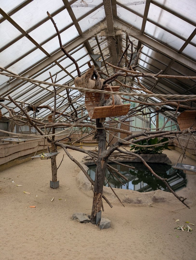 Mixed Exhibit in Palm House