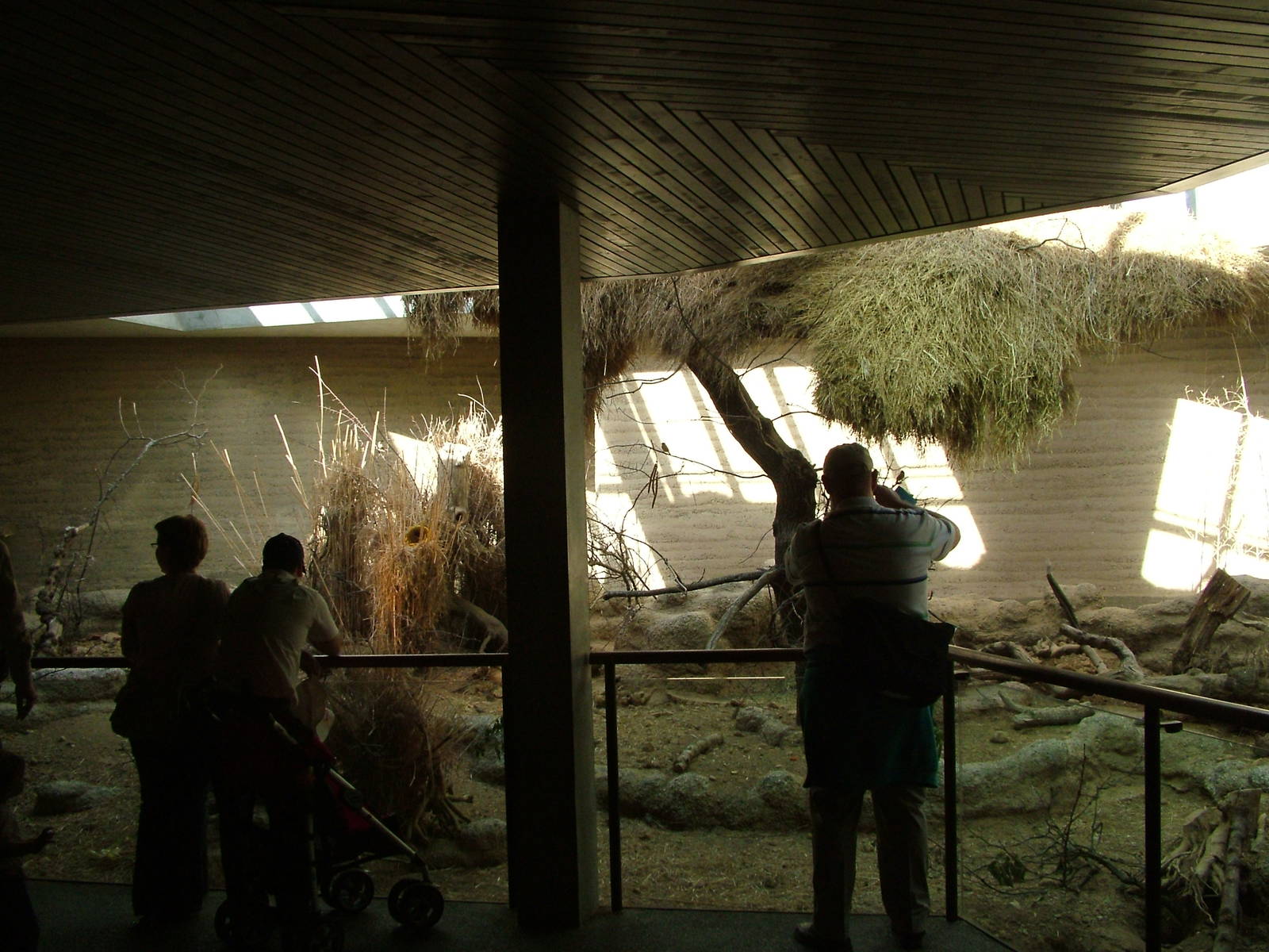 Mixed exhibit in the Etosha House at Basel Zoo 30/08/09