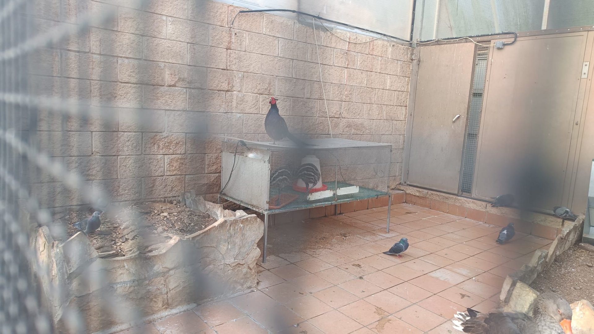 Mixed exhibit - Parque de Isabel la Catolica