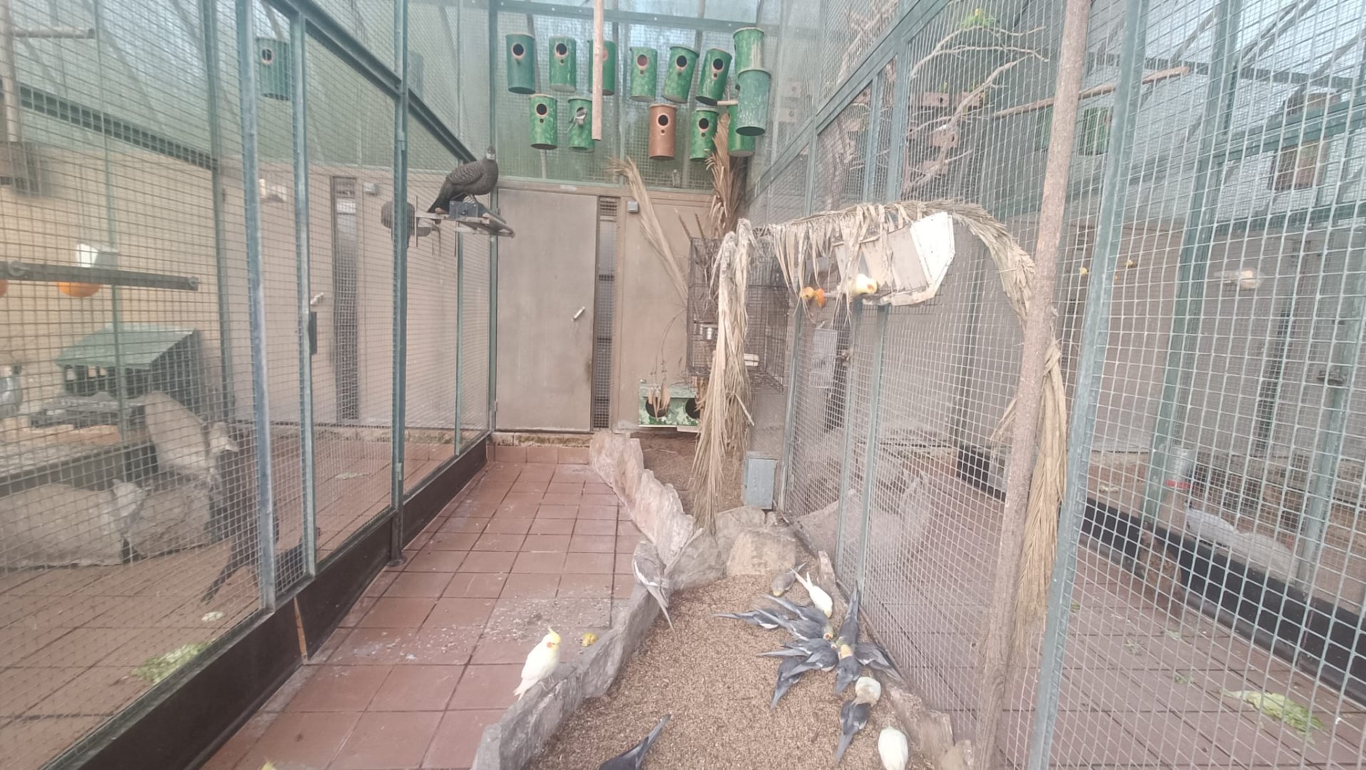 Mixed exhibit - Parque de Isabel la Catolica