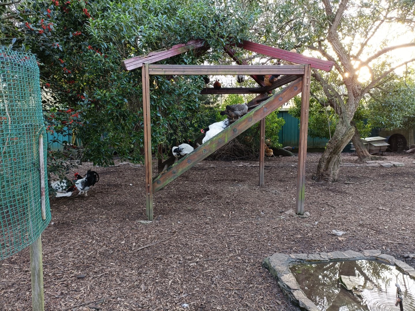 Mixed exhibit  - Parque de Isabel la Catolica