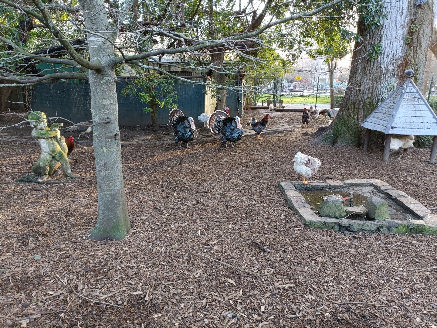 Mixed exhibit  - Parque de Isabel la Catolica