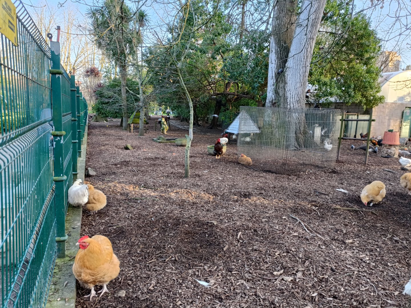 Mixed exhibit - Parque de Isabel la Catolica