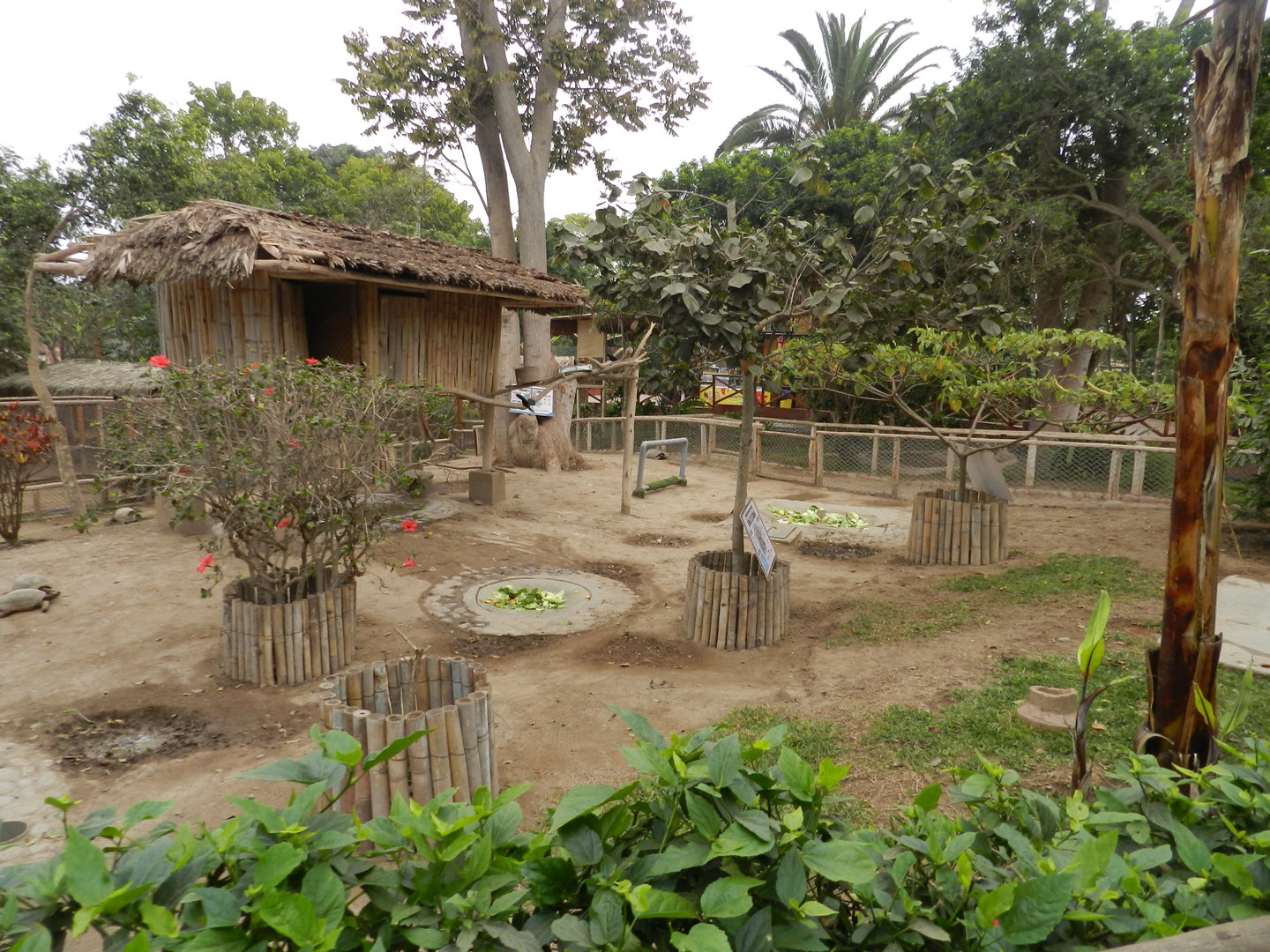 Mixed exhibit - Parque de Las Leyendas