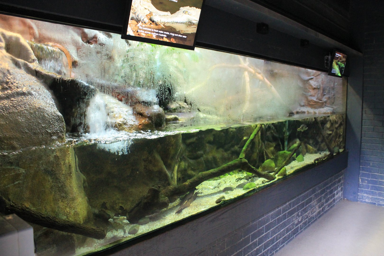 mixed exhibit, Reptile House