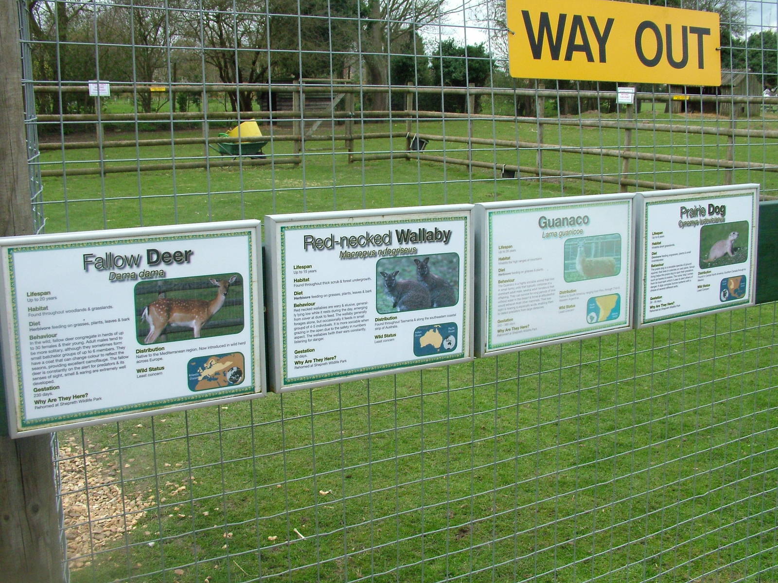 Mixed exhibit signage at Shepreth 05/04/10