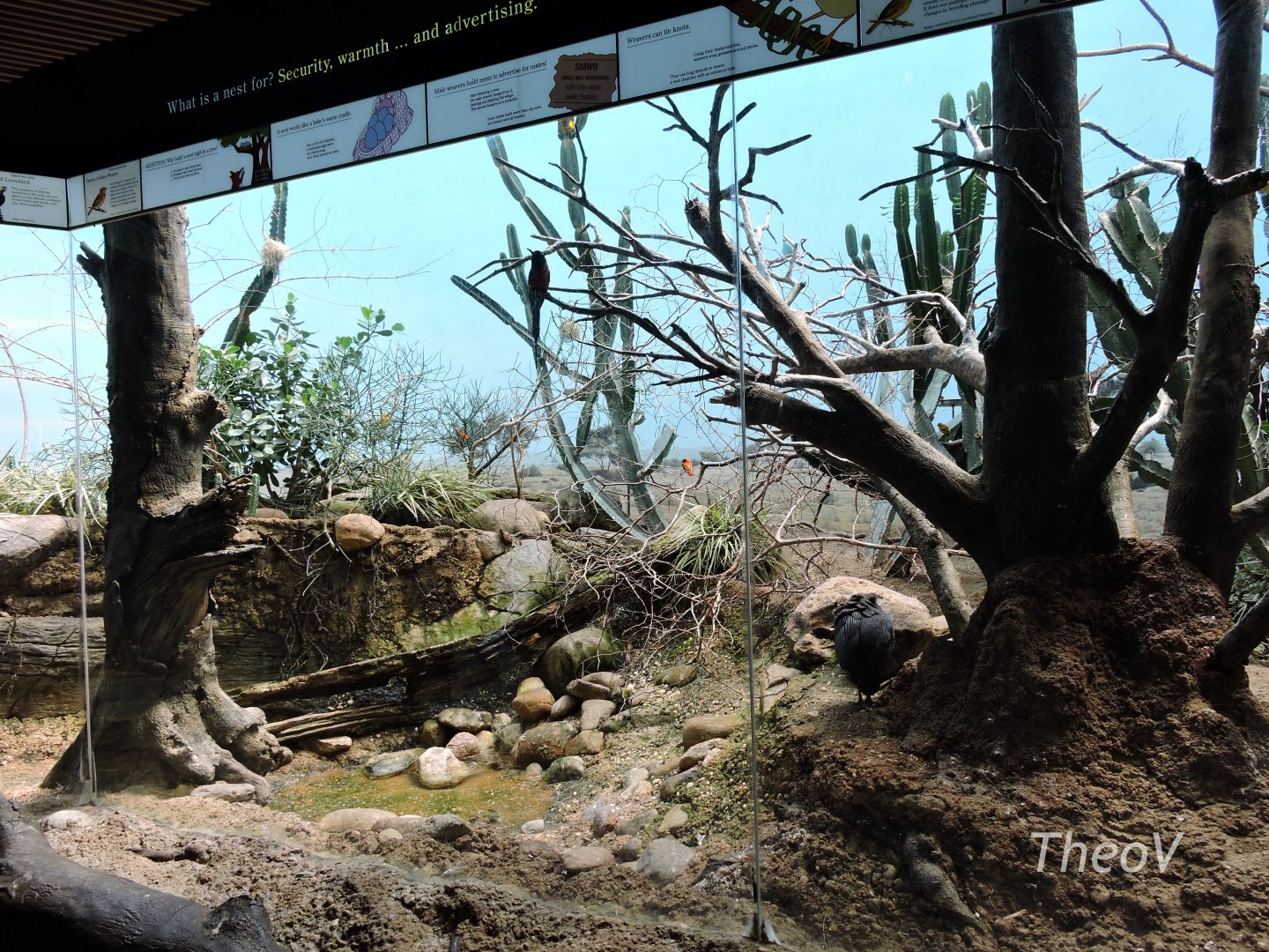 Mixed exhibit - World of Birds [2015]