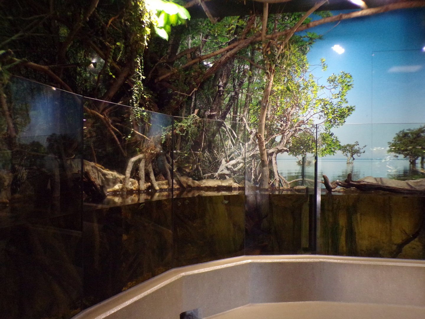 Mixed fish, reptile and Two-toed sloth exhibit 13.7.25