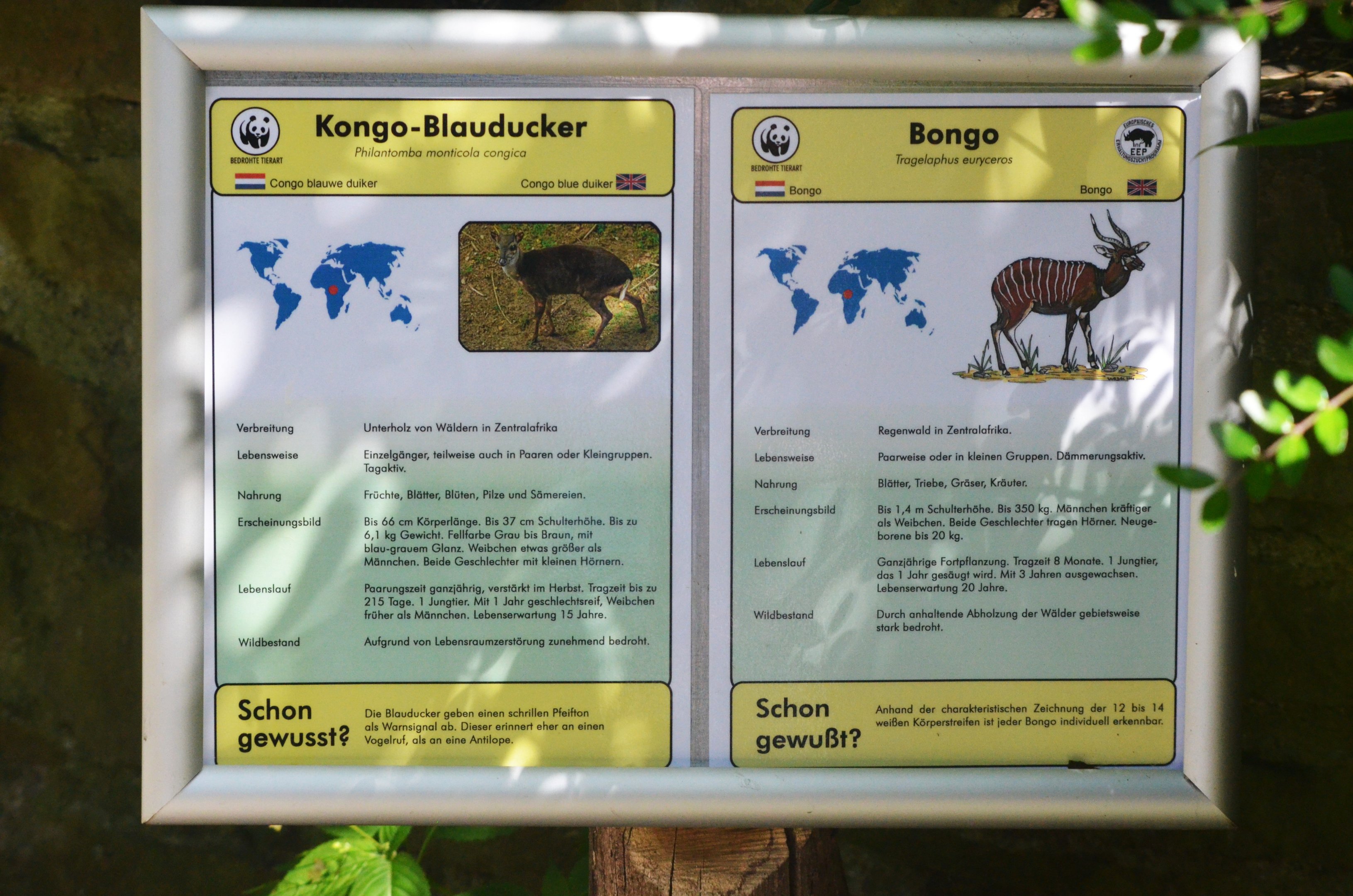 Mixed Forest Antelope Exhibit Signage at Duisburg, 17/06/19