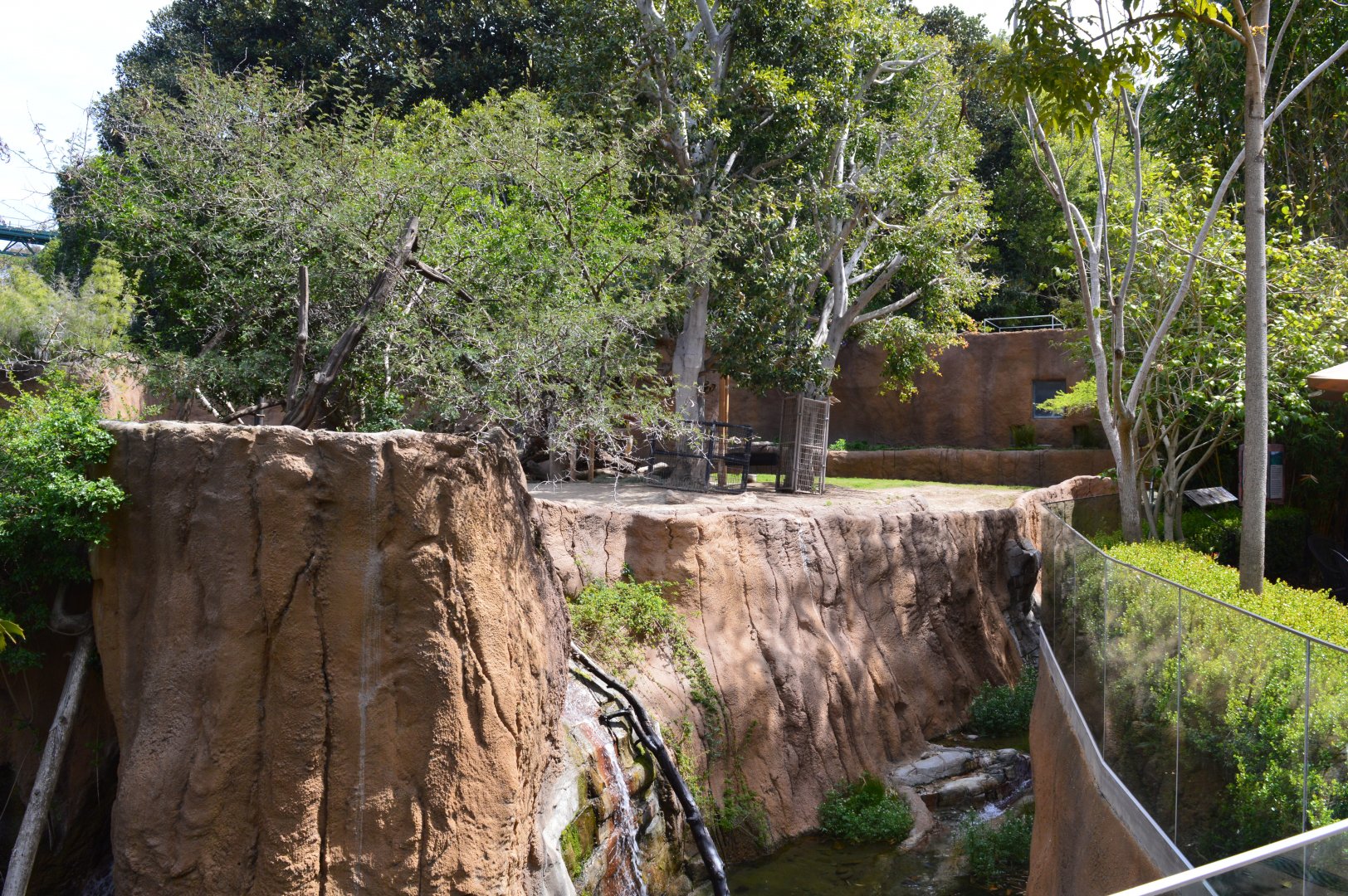 Mixed Forest-buffalo Exhibit