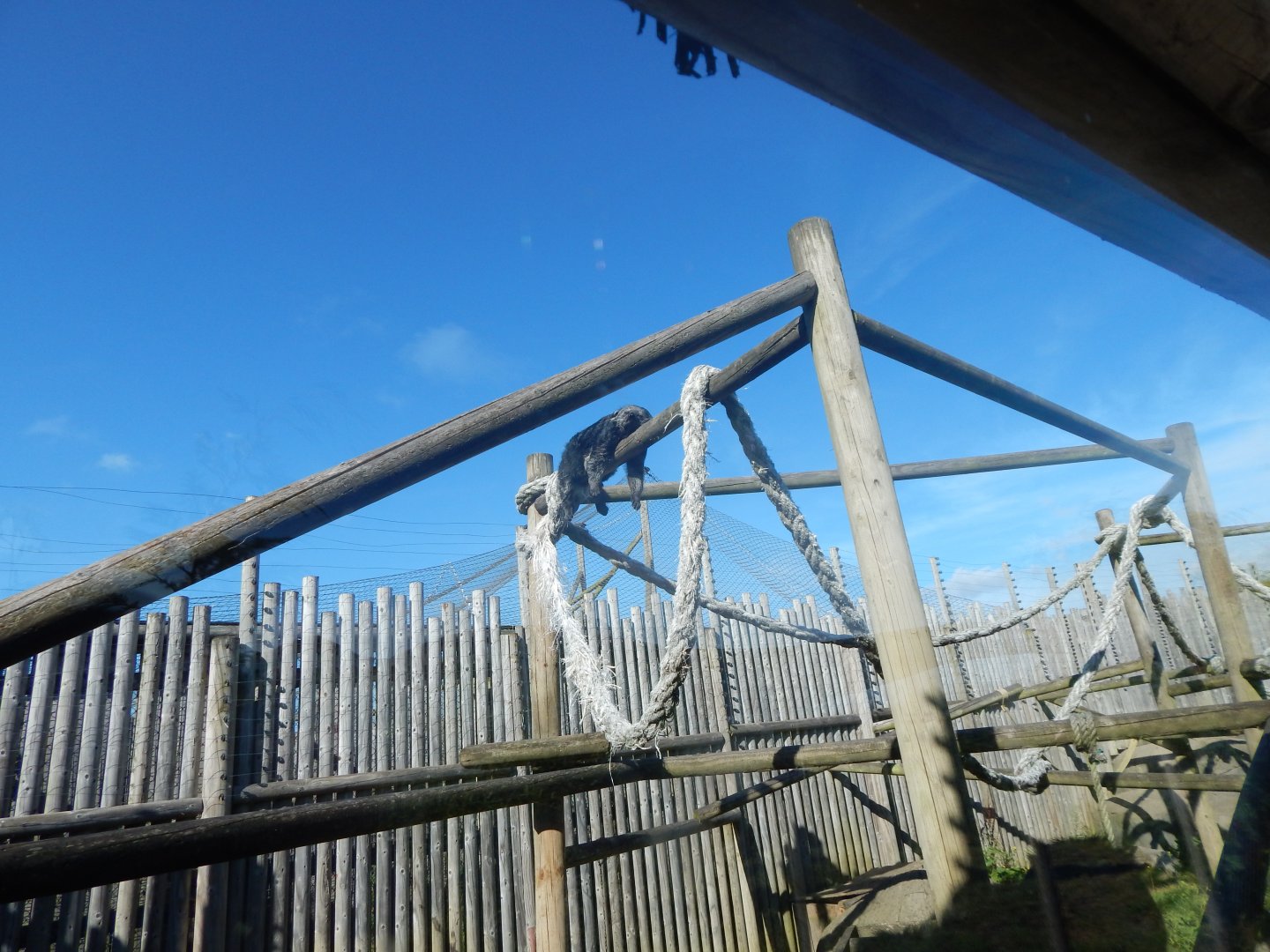 Mixed habitat 030924