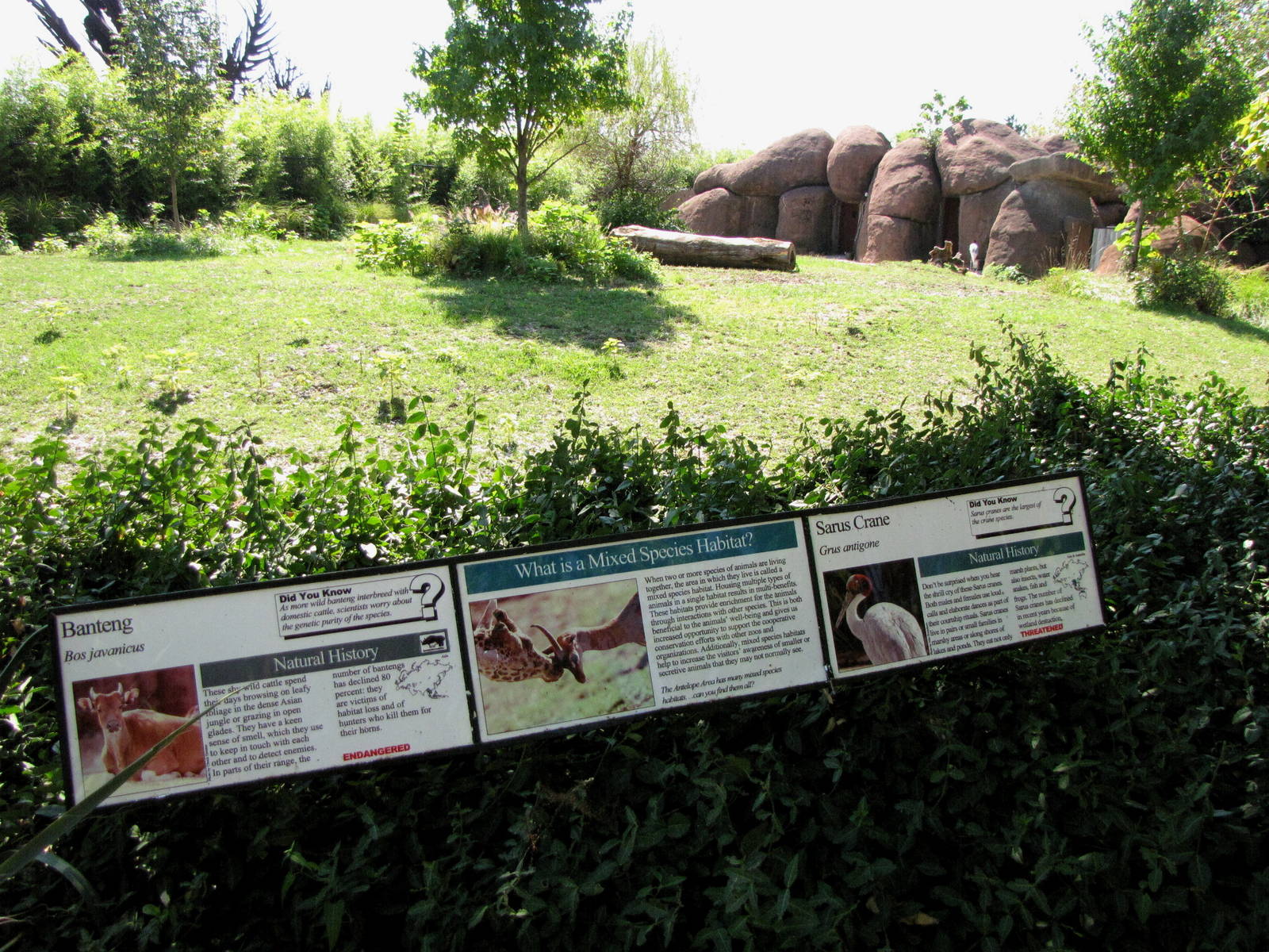 Mixed Habitat - Red Rocks