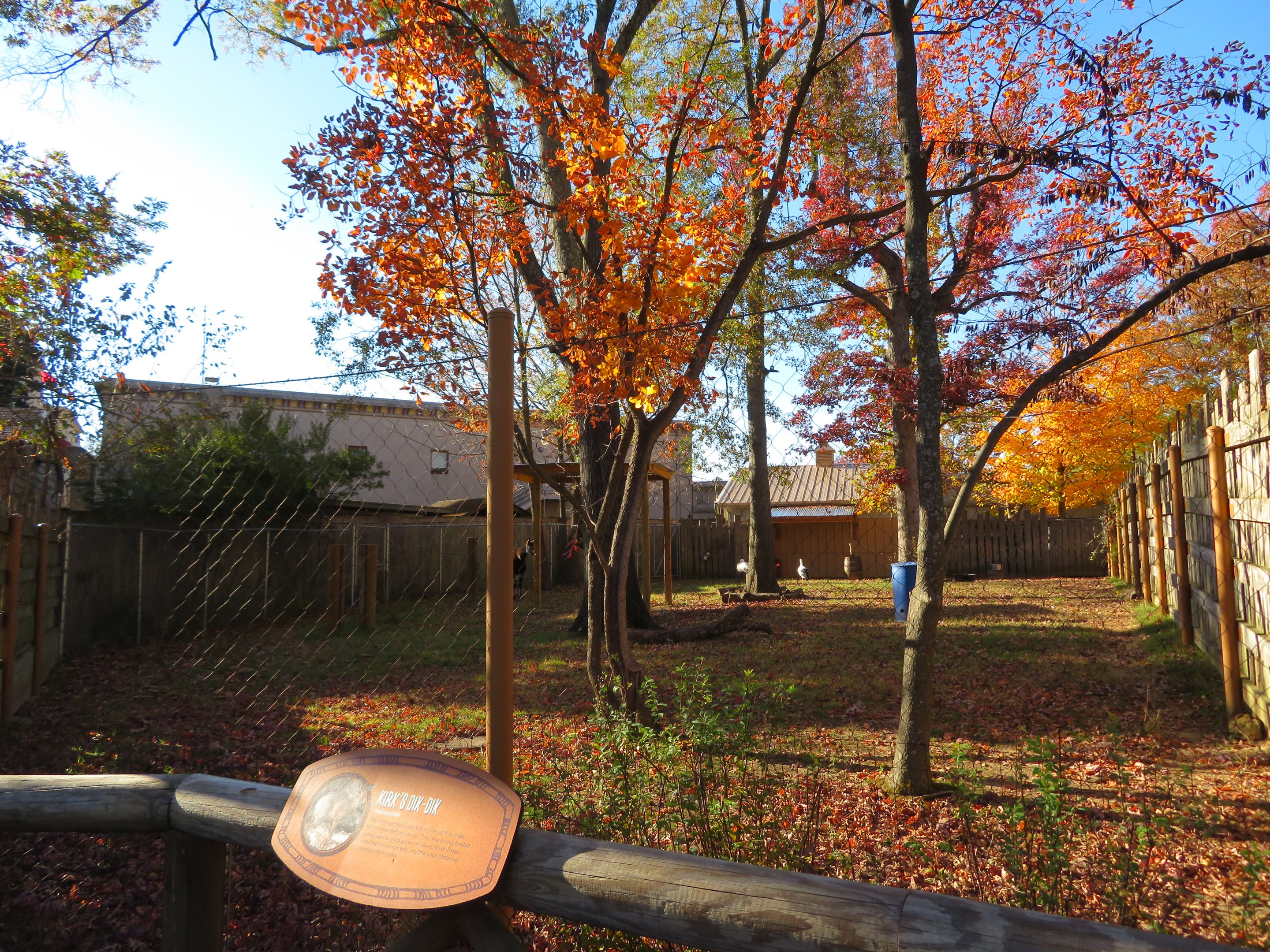 Mixed Hoofstock/Bird Yard (4 spp)