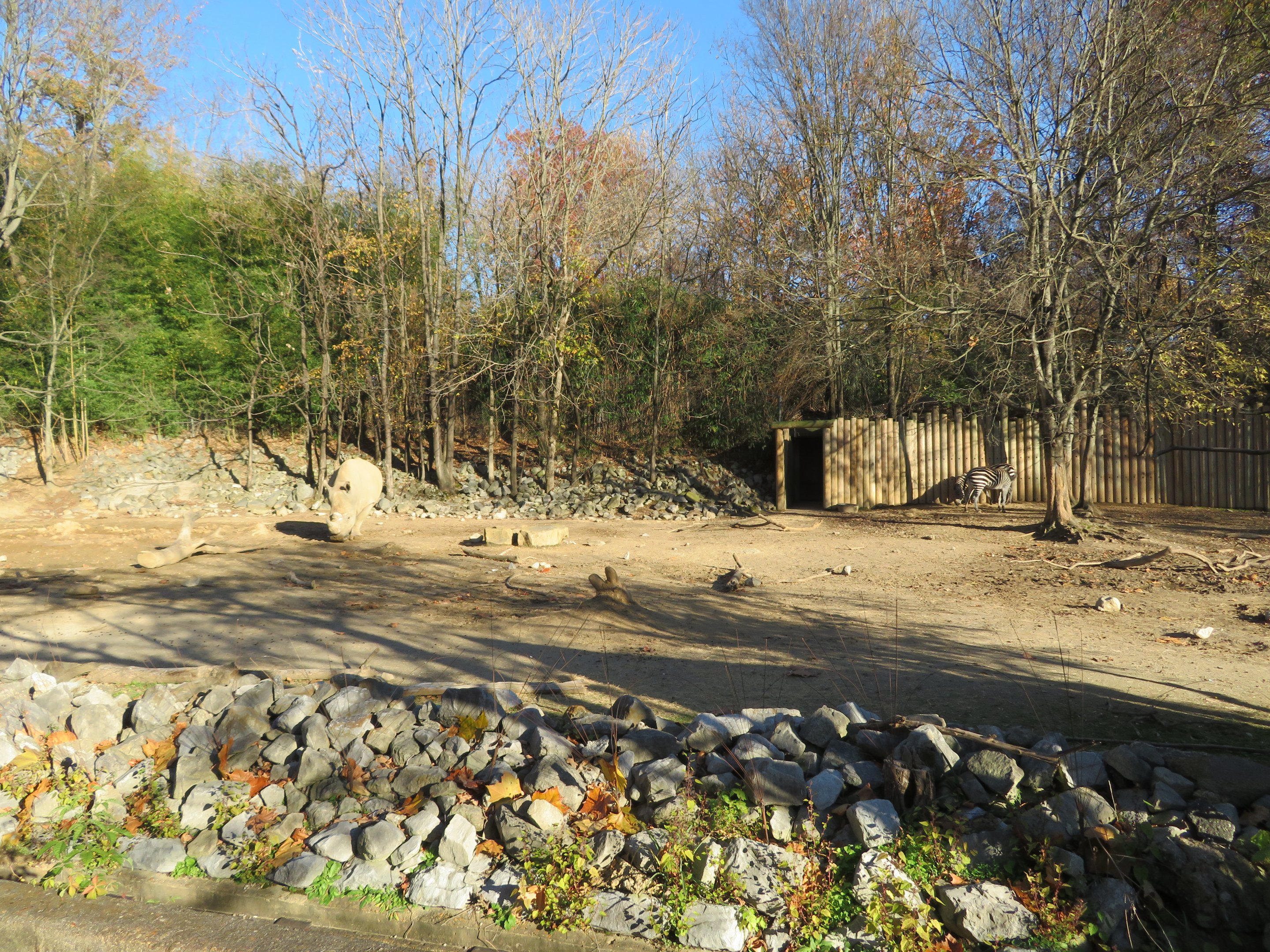 Mixed Hoofstock Yard