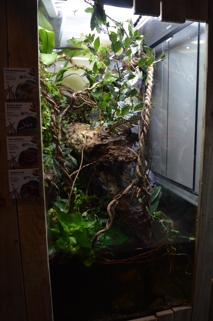 Mixed invertebrate exhibit 1