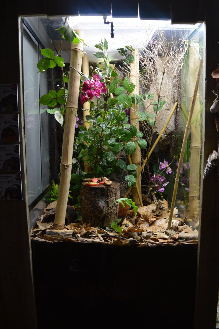 Mixed invertebrate exhibit 2