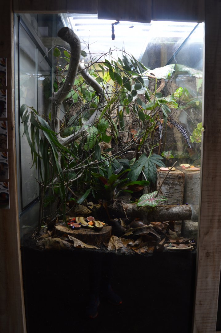 Mixed invertebrate exhibit 5