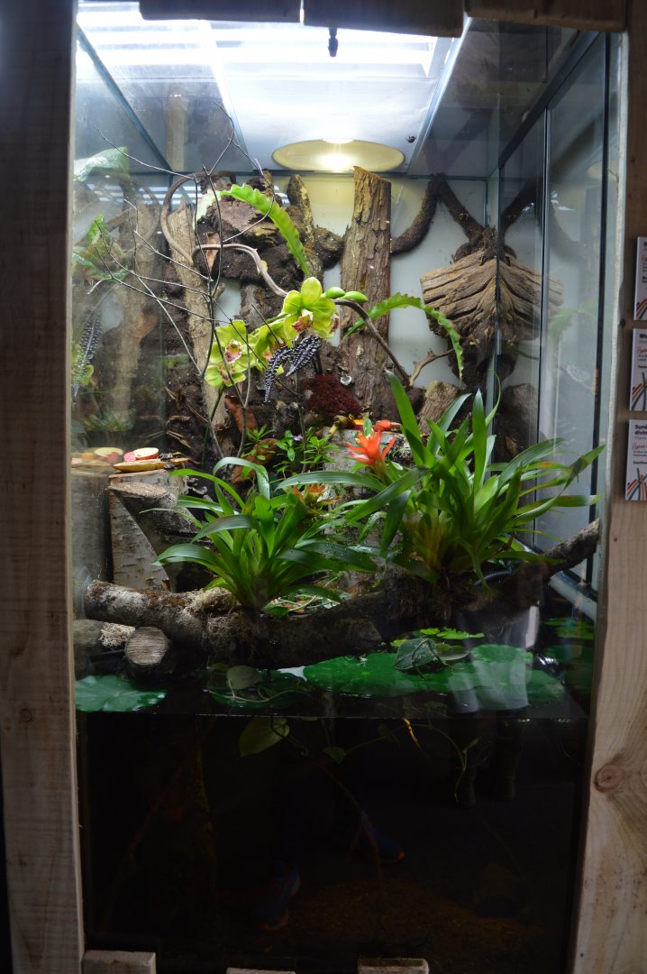 Mixed invertebrate exhibit 6