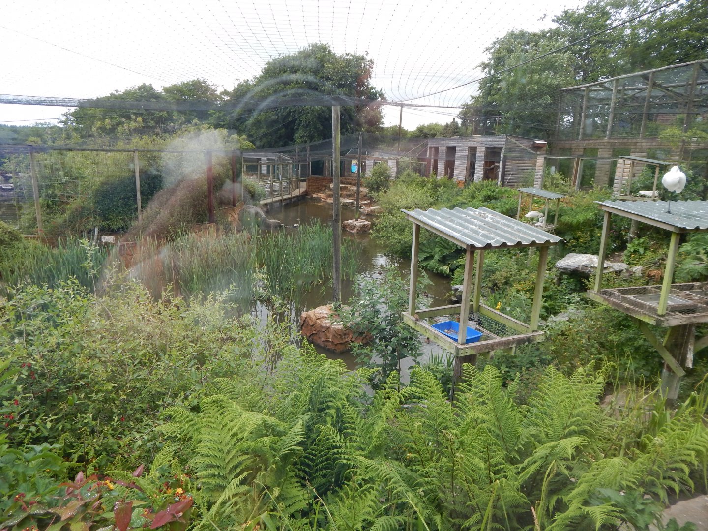 Mixed lake aviary 050625